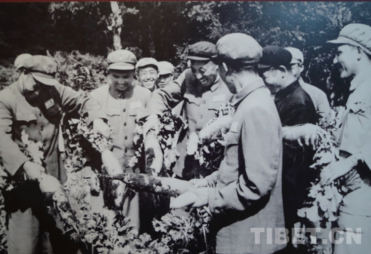 14位开国将军的西藏足迹（下）