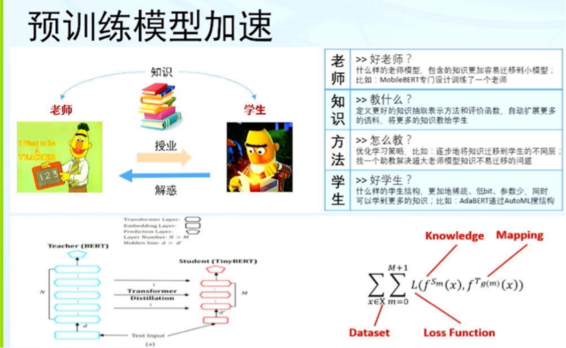 預訓練語言模型：還能走多遠？