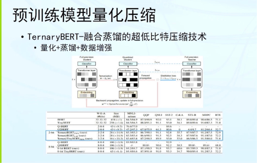 預訓練語言模型：還能走多遠？