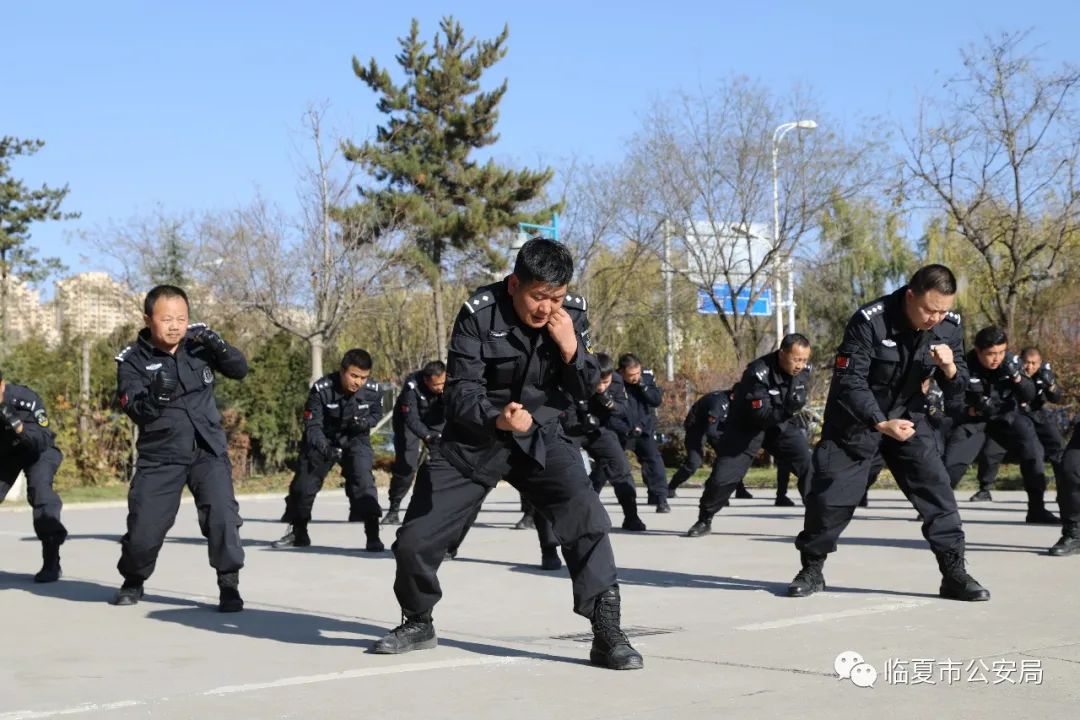 全警实战大练兵 