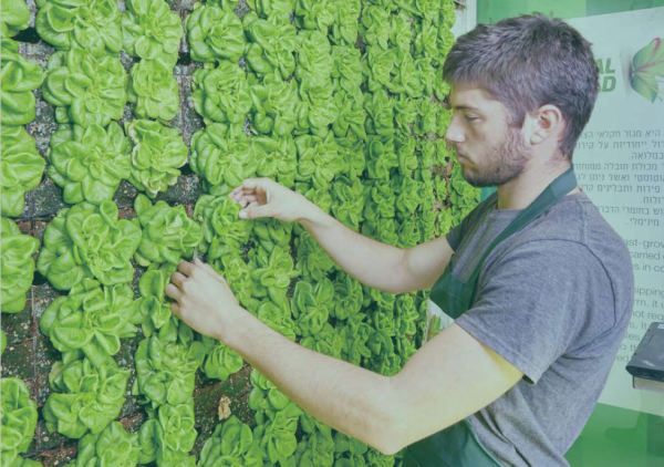 ��ɫ�пƼ���˾�����й���չ�Ƿǳ���Ҫ��ս�Բ���