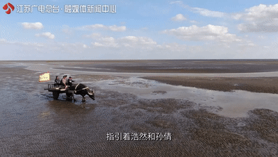 江苏竟藏着这么一个黄金海滩！还去什么马尔代夫