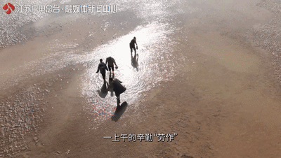 江苏竟藏着这么一个黄金海滩！还去什么马尔代夫