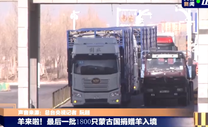 [3万]蒙古捐赠的3万只羊全部入境 小伙伴马上可以吃上来自蒙古国香喷喷的羊肉啦！