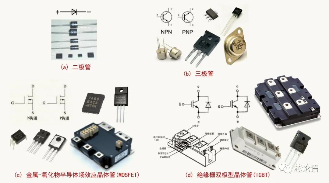 為集成電路大家族“拍攝全家福”