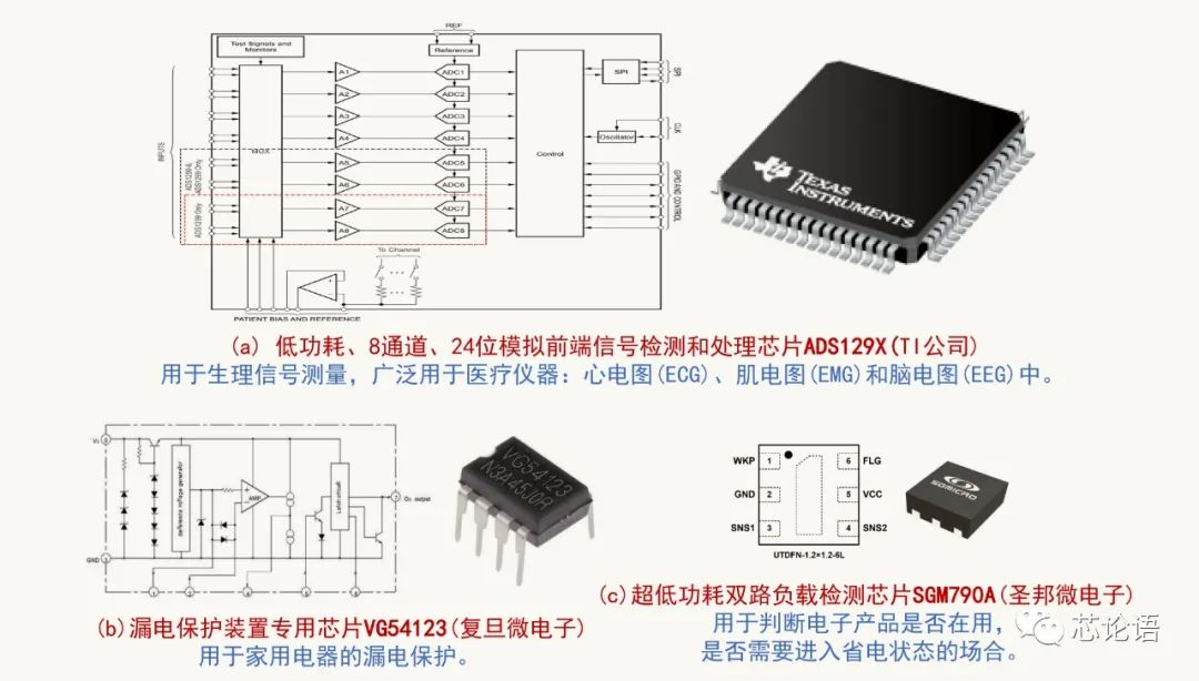 為集成電路大家族“拍攝全家?！? class=