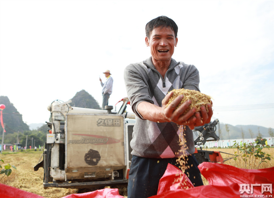 袁隆平院士绿色有机水稻示范基地落户海关帮扶村