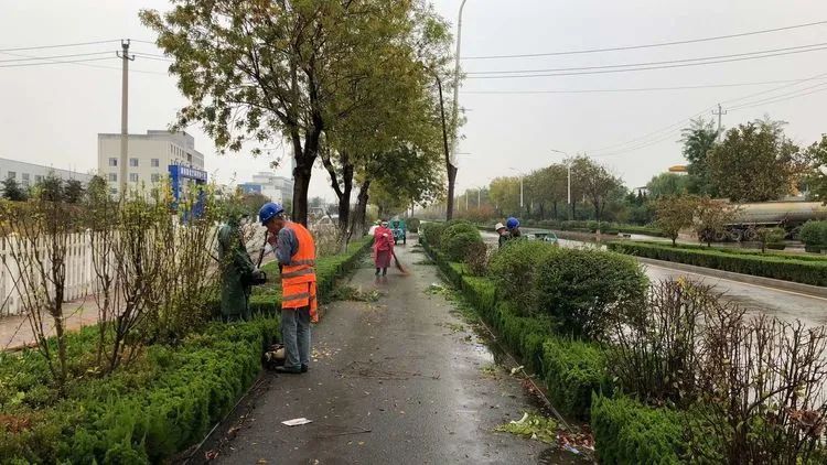 济南新材料产业园区开展环境综合整治专项行动工作