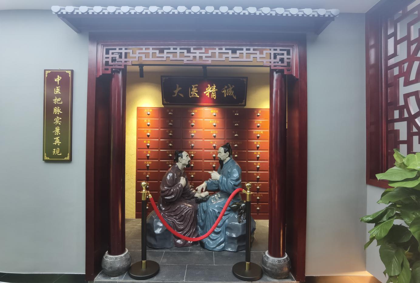 传承精华守正创新 醴陵市中医药文化馆开馆