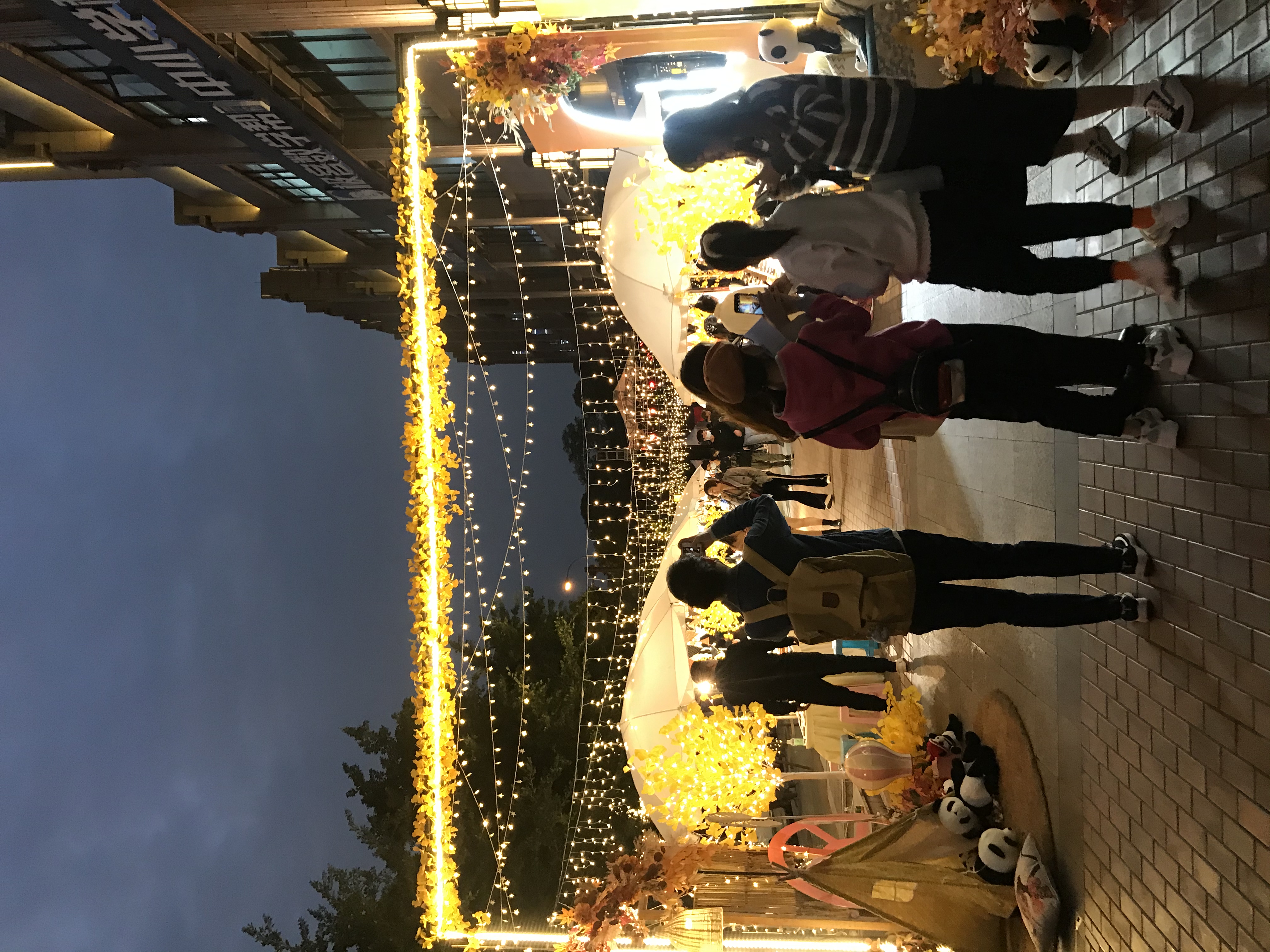 逛文创、听音乐会、看川剧表演……快来第四届天府银杏文化艺术季打卡