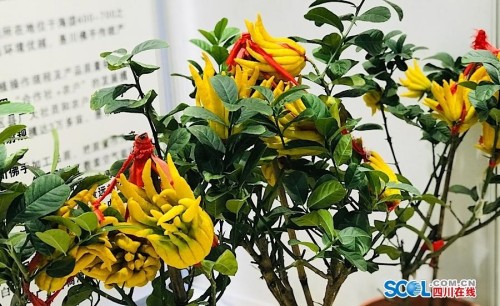 揽金29.8亿元 第三届乐山药博会开幕