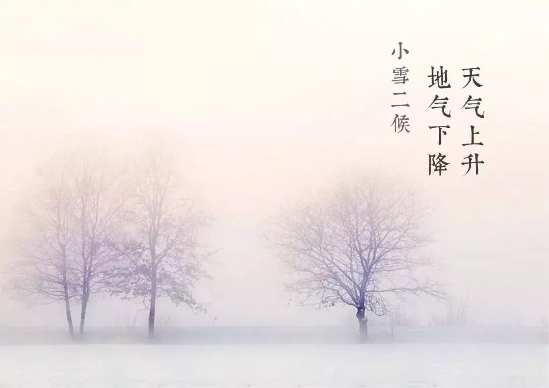 今日小雪｜天冷冬深 愿歲月安暖