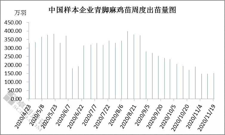 过年鸡补栏正当时，鸡苗价格却下滑？