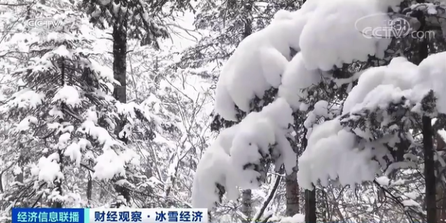 這種職業(yè)，一個雪季狂賺超10萬元！背后還有6800億元大市場將至！下一個風口是…