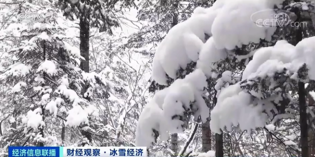 这种职业，一个雪季狂赚超10万元！背后还有6800亿元大市场将至！下一个风口是…