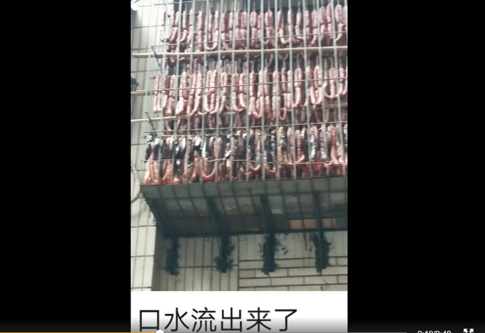 ���˼ң��Ĵ����ݾ���������㳦�����ѣ���ˮ����������