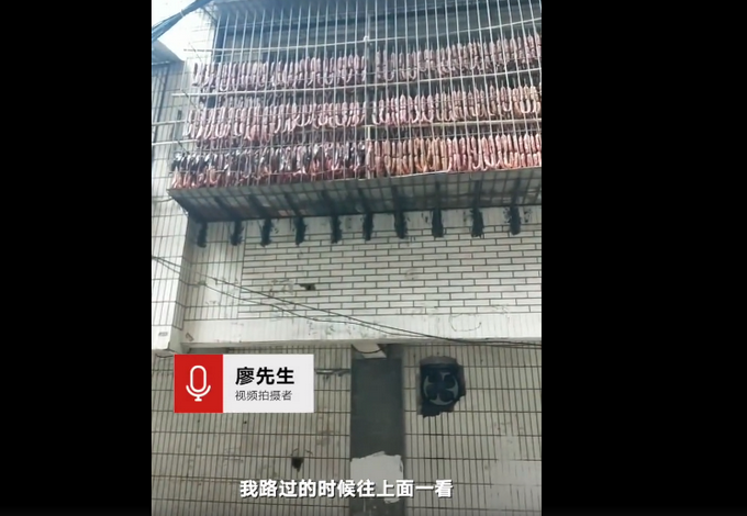 ���˼ң��Ĵ����ݾ���������㳦�����ѣ���ˮ����������