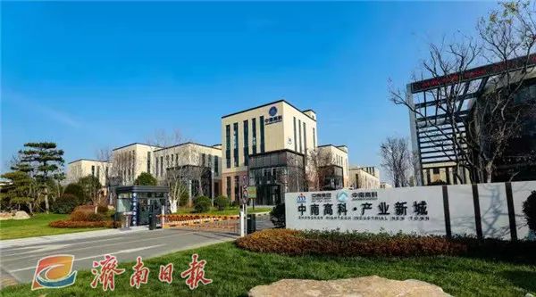 天桥：一往无前拼项目，奋发有为谋新篇