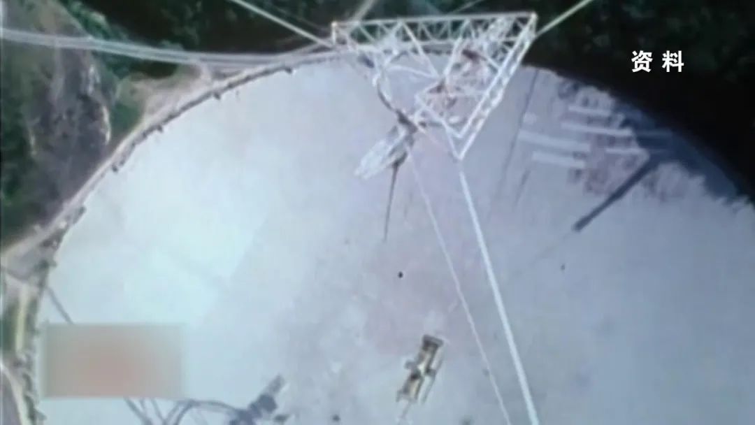 ���������ۡ����ϣ�����ֻʣ�й�һֻ�����ۡ�