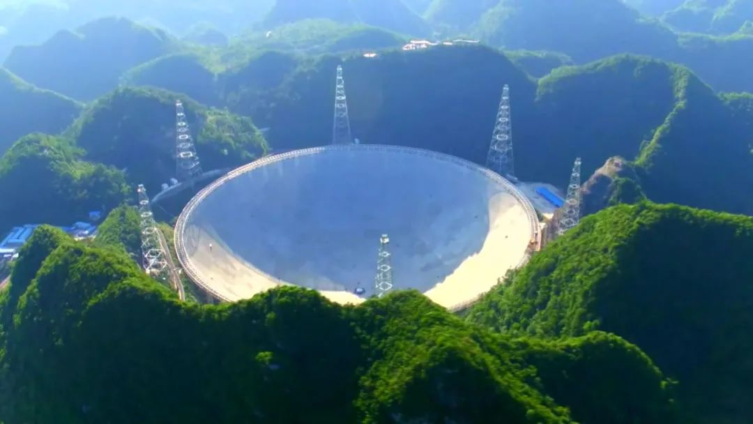 ���������ۡ����ϣ�����ֻʣ�й�һֻ�����ۡ�