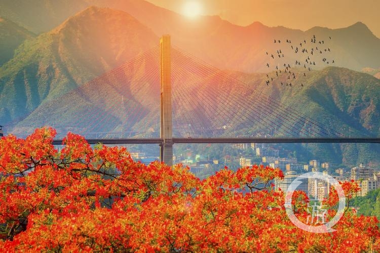 今日大雪，四川攀枝花向全国发出阳光康养邀请函