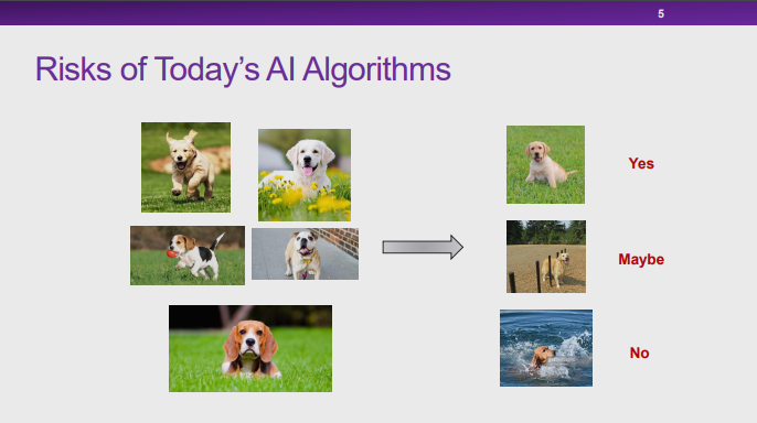 清华大学崔鹏：探索因果推理和机器学习的共同基础