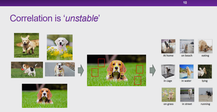 清华大学崔鹏：探索因果推理和机器学习的共同基础