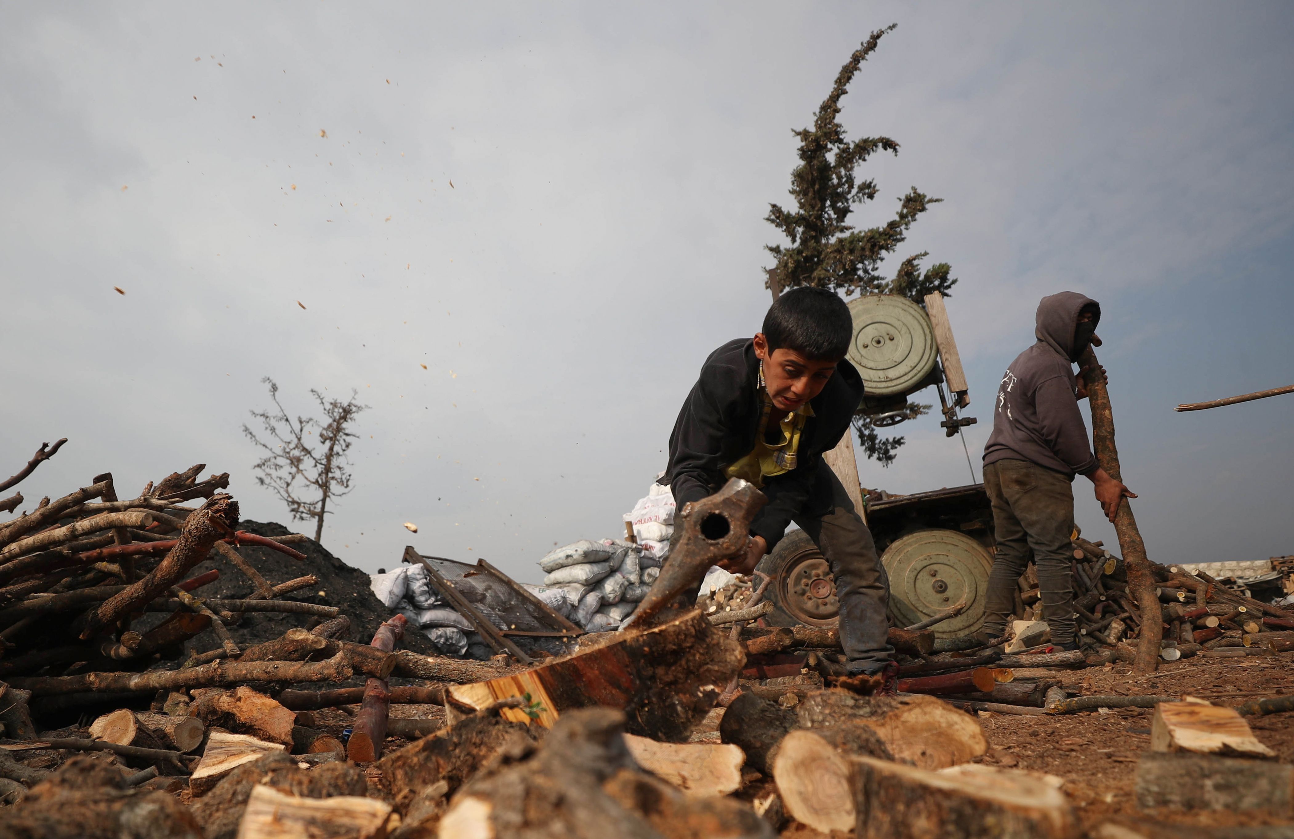 叙利亚：备柴过冬