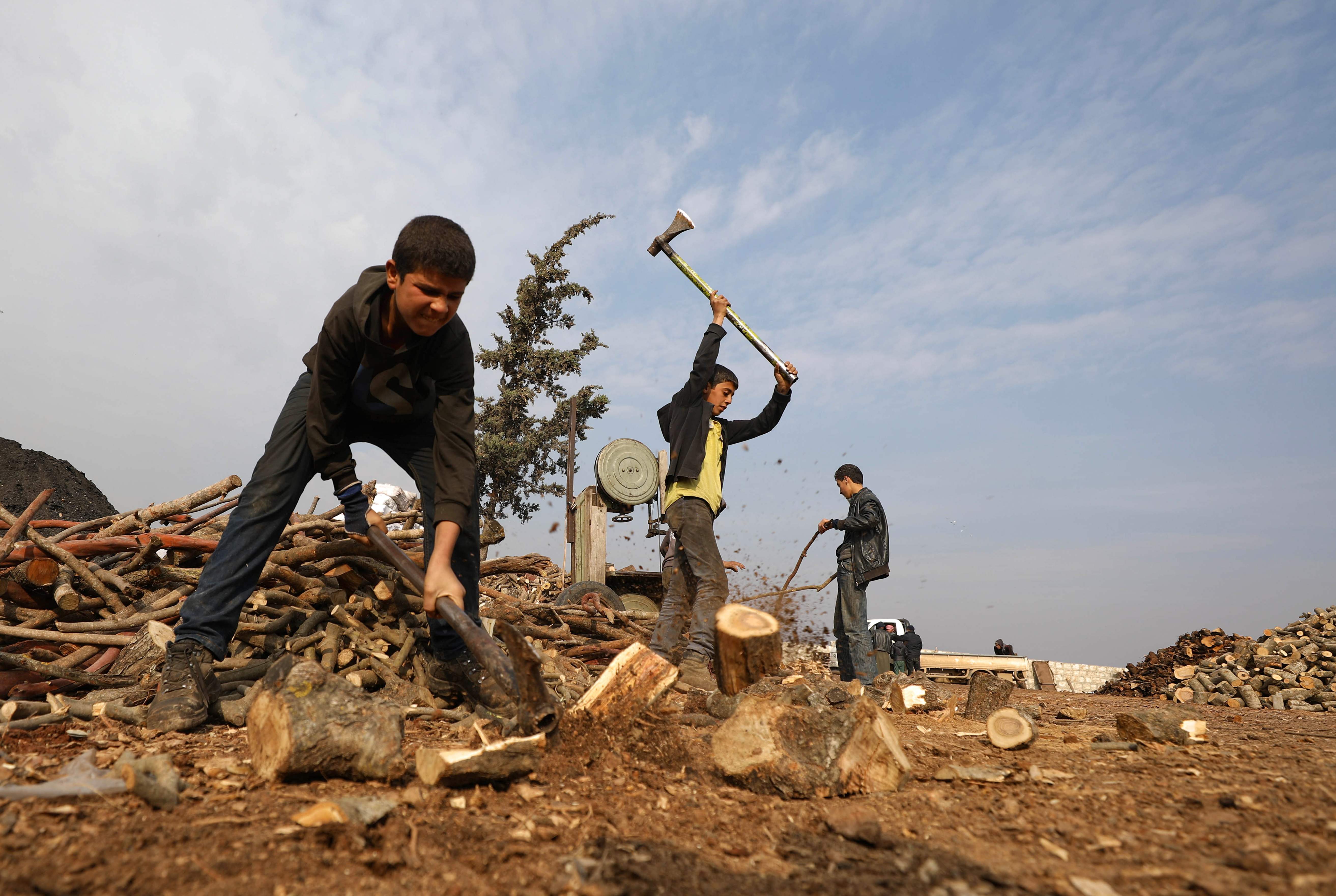 叙利亚：备柴过冬