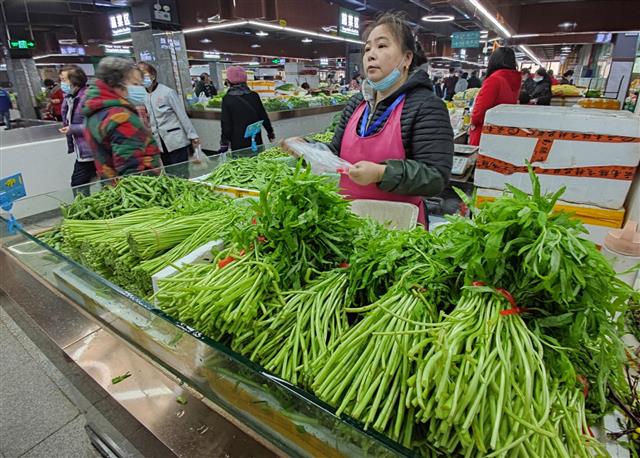 汉产藜蒿上市月余仍处高位，只因时令特色菜口感越来越甜正当季