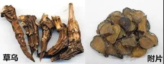 自制“药酒”变“毒酒”，一杯下肚，男子躺进ICU，医生紧急提醒→
