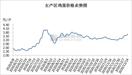 货源紧俏 产地鸡蛋价格再涨