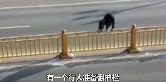 特别的缘分？男子翻护栏被卡获交警“公主抱”，监控画面令网友笑出屏幕