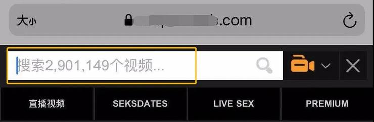 超 200 万人请愿关闭！全球最大色情网站 P 站传播性侵儿童内容，连夜下架千万部色情片，面临关停威胁