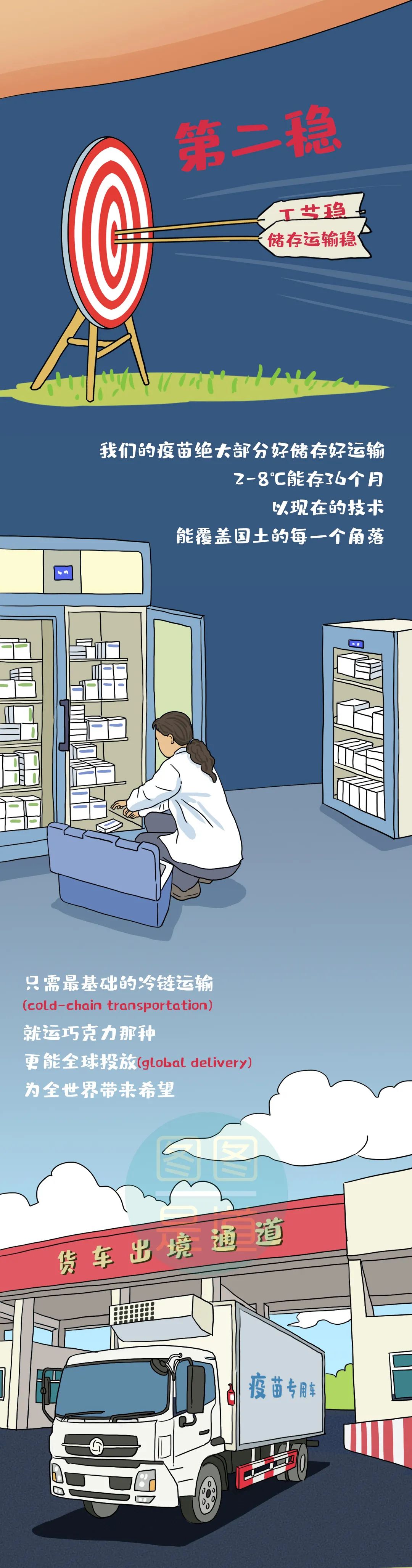 中国疫苗，稳！| 图图是道