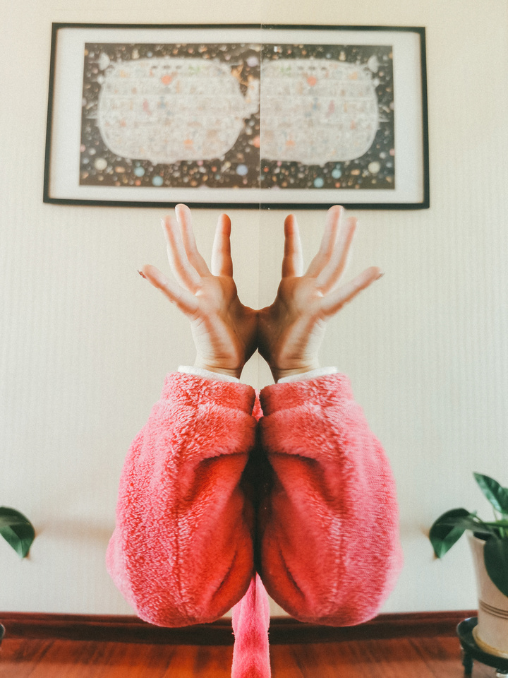 "Follow a heart and photograph " -- 2020 of mine