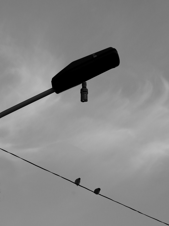 "Follow a heart and photograph " -- 2020 of mine