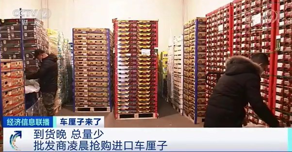 "Grab goods " ! Demand big, price is high! Scare buying of jobber before dawn, 15 minutes are grabbed empty! Fruit of this kind of star, for what so fire? 