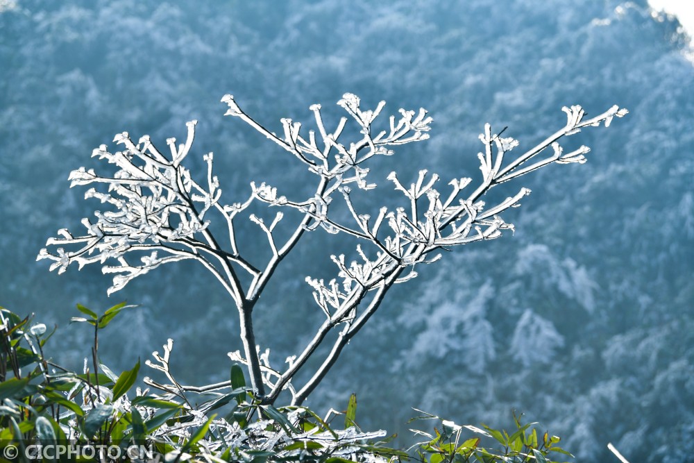 湖南常宁：高山雪景如画