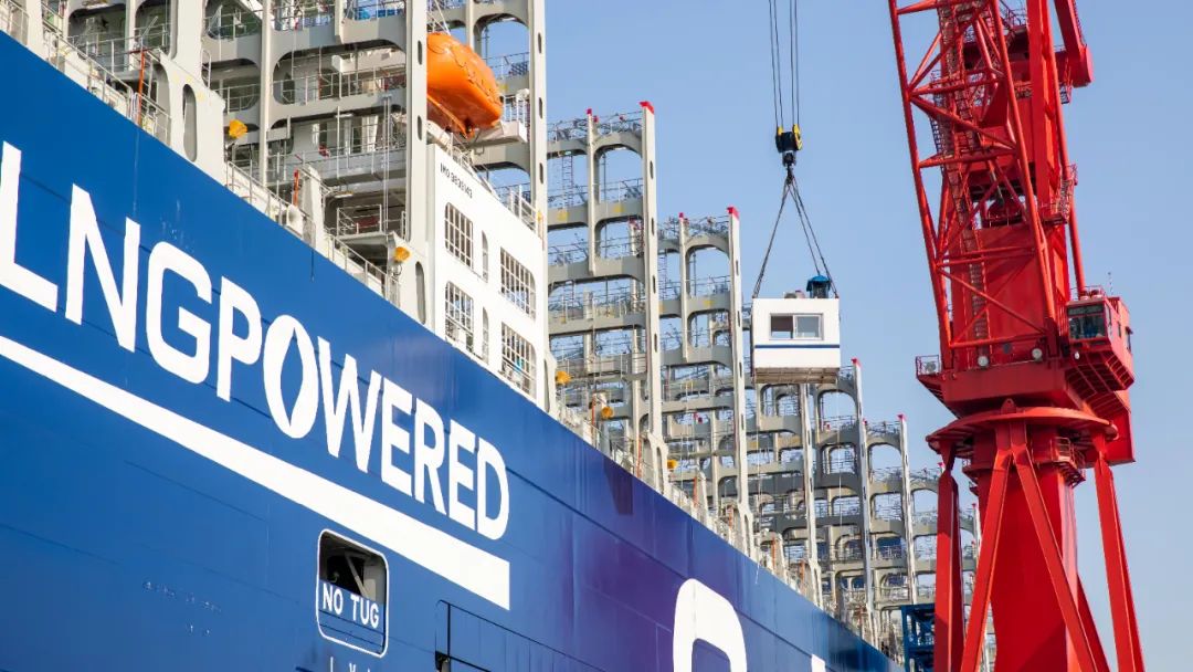 今天，崇明又诞生一个世界之最