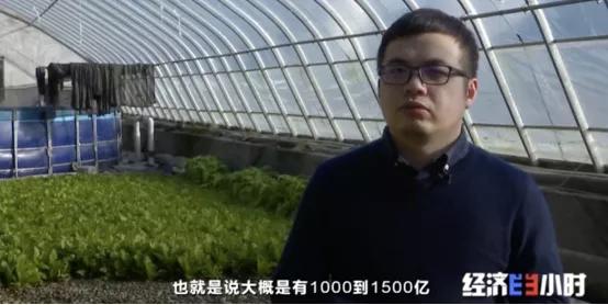 千亿大商机！养鱼不换水，种菜不施肥！这套技术太惊艳→