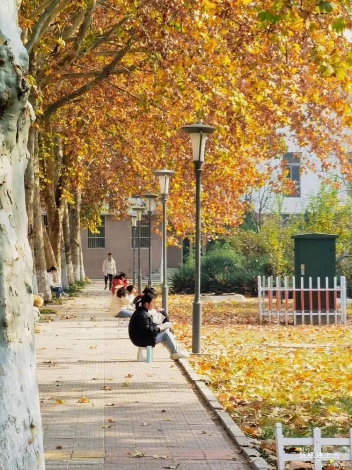 For Qu Yuan the student is cheered! Harships take an examination ofing grinds road, we are the people that pursue a dream