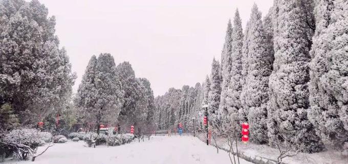 Area of scene of mountain of Jinan horse race is silver-coated, elfland of Xue Houmei Jing Wanre