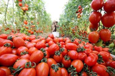 ҹӵ֪ʶȨ˹Ӱ˻-I׷ɳɹ