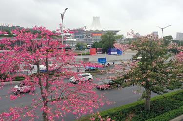 石家庄：医药医疗设备企业防疫物资生产忙