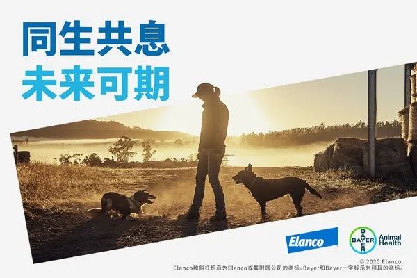 复盘2020年全球医疗行业：新冠疫苗争分夺秒、药企整合并购不断、跨国药企押注中国 | 医药观察