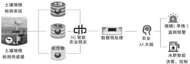 从田间到餐桌，5G、IoT、AI如何催生智慧农业？