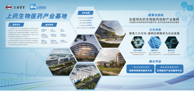 上海生物医药产业基地开工！若干个抗肿瘤类创新药未来将在这里孵化、亮相｜走近重大项目