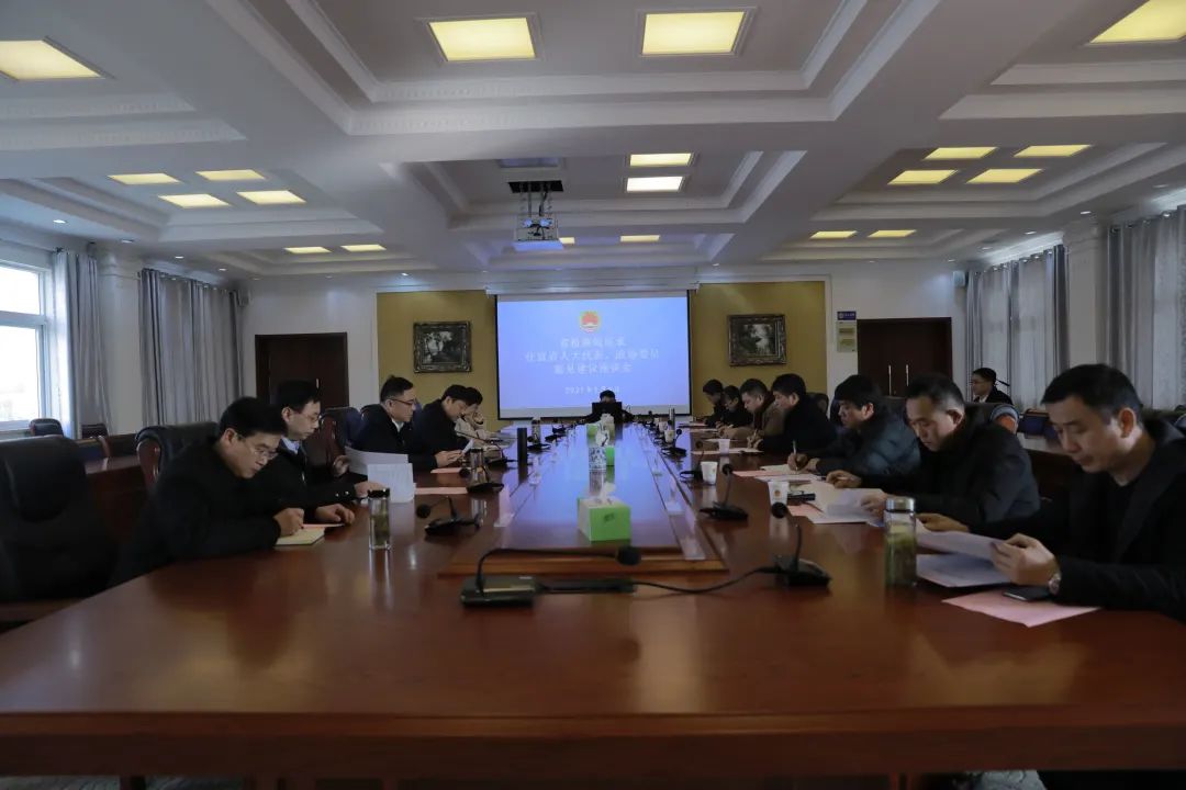 【喜迎省两会】宣城 | 代表委员：过去一年检察工作取得良好效果