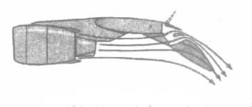 ҡŭơȽй-20սһ